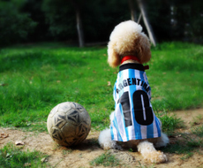 深耕生物醫(yī)療領(lǐng)域，打造濟(jì)南本土科技標(biāo)桿